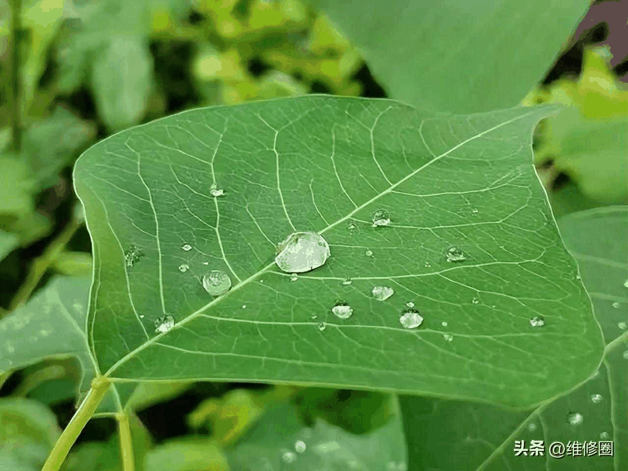 华为畅享60Pro手机怎么样?值得入手吗插图3