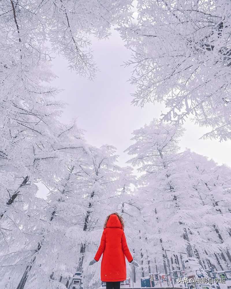 冬天雪景怎么拍好看，4句雪景摄影口诀，帮你拍美雪景照片插图3