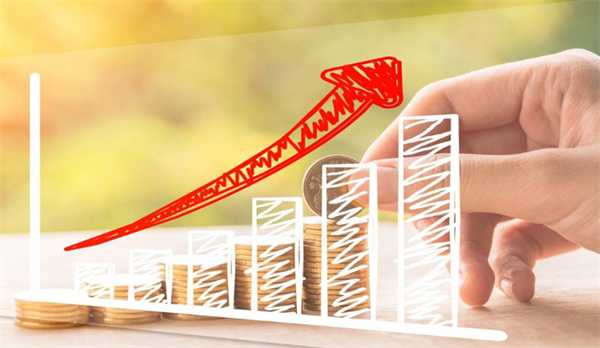 基金经理的投资策略如何影响基金的绩效表现 细节分享