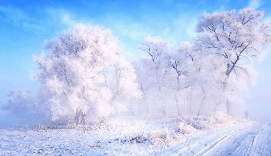 2024年吉林雾凇冰雪节每天都放烟花吗?吉林雾凇冰雪节焰火燃放是在几点