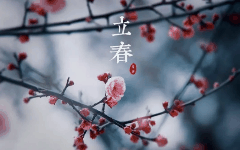 2024立春是双立春吗?2024立春是单立春还是双立春