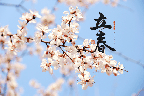 2024年立春是五九尾还是六九头?2024立春是数九的哪一天