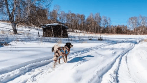 内蒙古12月份多少度2023?12月内蒙古天气怎么样插图1 内蒙古12月份多少度20232