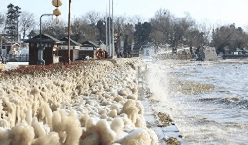 2023年12月会有极寒天气出现吗?2023年12月天气异常吗插图2 2023年12月会有极寒天气出现吗3