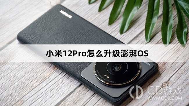 小米12Pro可以升级澎湃OS吗?小米12Pro怎么升级澎湃OS插图 小米12Pro可以升级澎湃OS吗?小米12Pro怎么升级澎湃OS插图