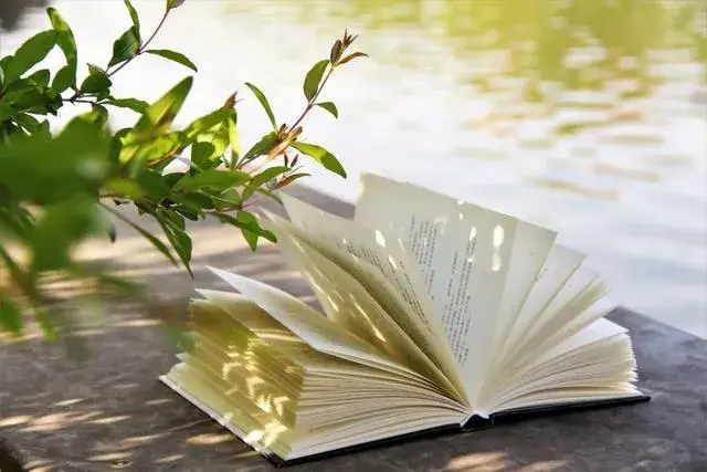 为什么我建议你卸载这些APP？插图4