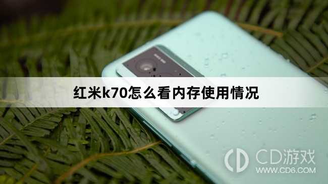 红米k70看内存使用情况方法?红米k70怎么看内存使用情况插图