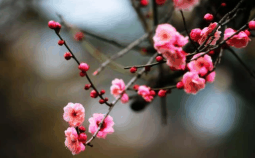 2024年无春年是指农历还是阳历?2024年无春年按农历算吗