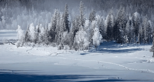 2023年新疆十二月份冷吗?十二月适不适合去新疆