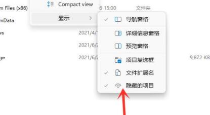 Win11隐藏文件怎么打开?Win11打开隐藏文件的方法