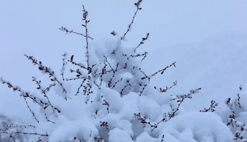 2023年12月老君山会下雪吗?12月份去老君山合适吗
