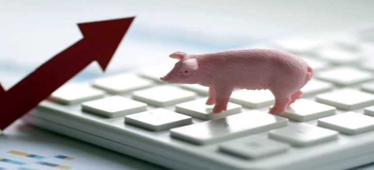 猪价如何受供应缩量 需求增加双向支撑 本周生猪均价反弹插图 猪价如何受供应缩量