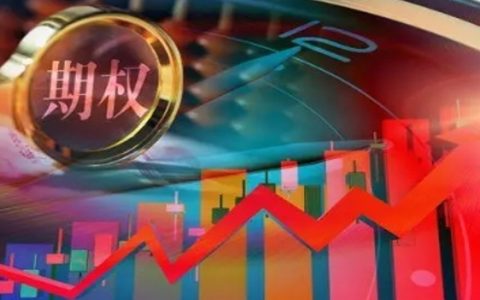 期权波动率指数对期权交易有什么影响 详情分析