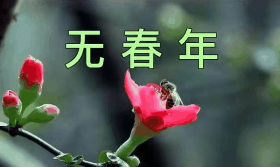 2024年有几个春?2024年有2个春吗