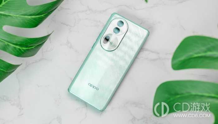 OPPOReno11Pro的刷机教程?OPPOReno11Pro怎么刷机