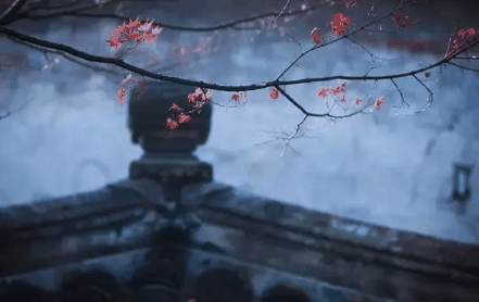 2022寒衣节送寒衣是闺女送吗?十月一送寒衣儿媳妇能去不插图 2022寒衣节送寒衣是闺女送吗1