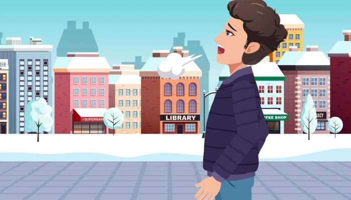 深圳冬天几月到几月 深圳的冬天分别是哪几个月插图1 深圳冬天几月到几月 深圳的冬天分别是哪几个月