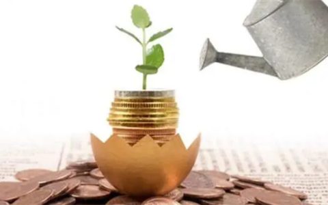 如何通过定制化投资产品达到个性化的财富增长目标 教你操作方法