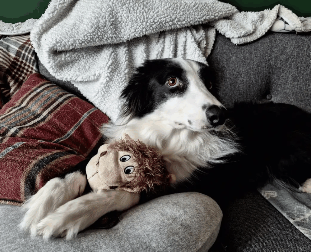 三星galaxya54 5g全面评测?使用体验插图4