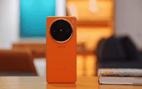 vivox100pro拍照测评?上手体验