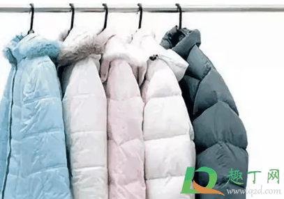 羽绒有鸭味道怎么去除?羽绒服有鸭毛味是不是说明质量差插图2 羽绒有鸭味道怎么去除3