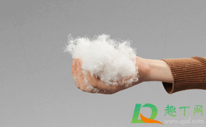 羽绒有鸭味道怎么去除?羽绒服有鸭毛味是不是说明质量差插图3 羽绒有鸭味道怎么去除4