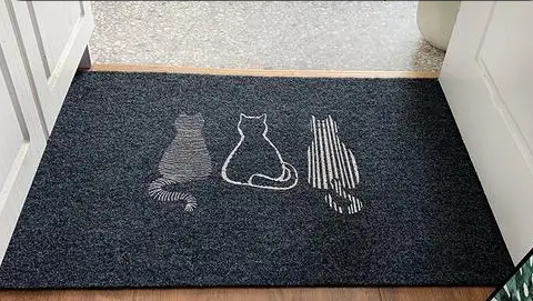 入户门地垫什么图案最旺财?进门地垫颜色风水有什么讲究