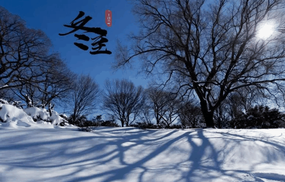 2023冬至是农历哪一天?2023冬至是农历几月几日插图 2023冬至是农历哪一天1