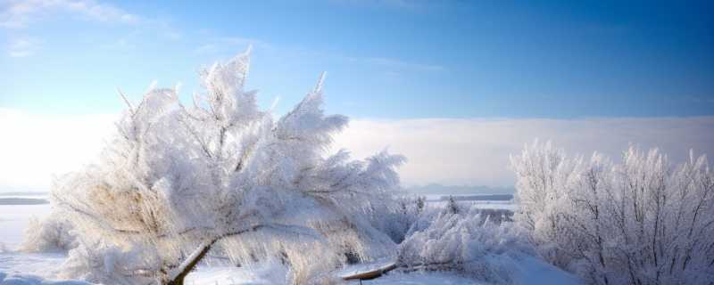 极寒天气是指多少度 冬天多少度才算冷