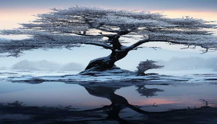 新疆的风雪有多猛 交警12级风雪天刨出23辆车