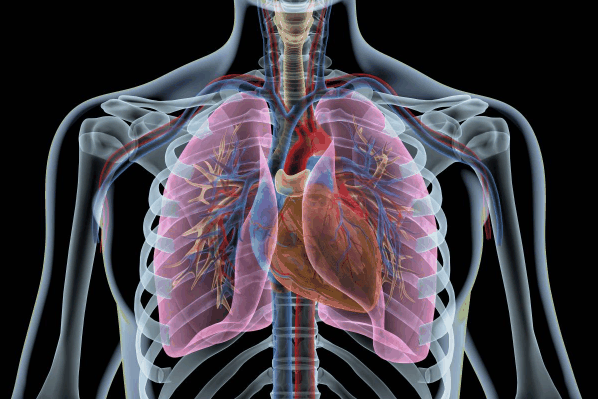 支原体肺炎对肺部危害大吗1