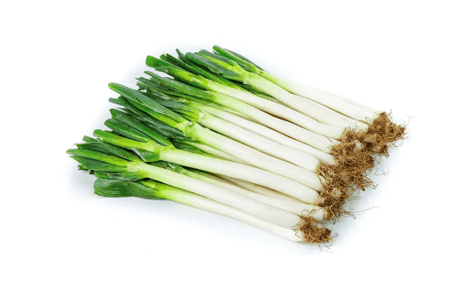 章丘大葱多少钱一斤?章丘大葱为什么这么贵