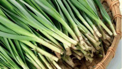 洗好的韭菜怎么保存一晚上?韭菜洗了后过夜会烂吗