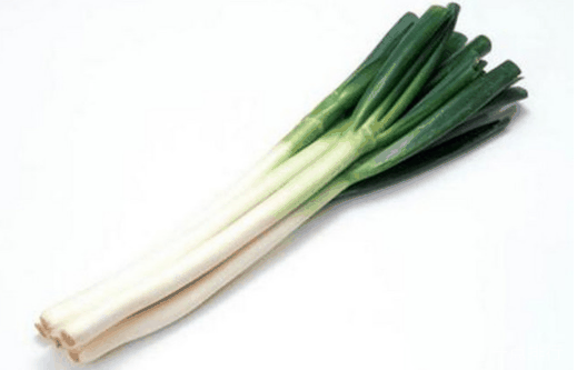 章丘大葱为什么长的那么高?章丘大葱为啥那么高插图 章丘大葱为什么长的那么高1