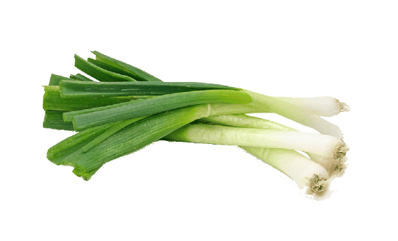 章丘大葱为什么长的那么高?章丘大葱为啥那么高插图1 章丘大葱为什么长的那么高2