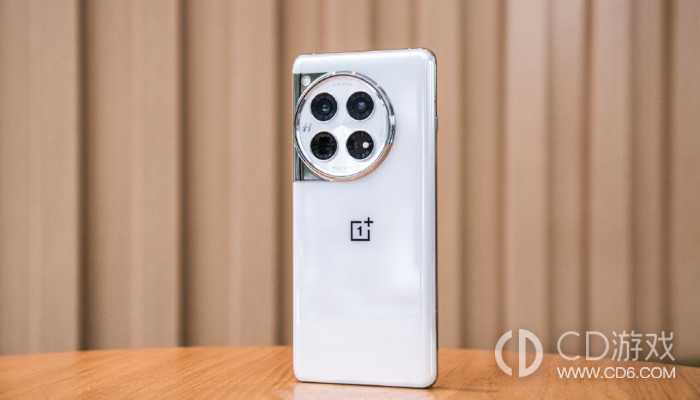 一加12拦截陌生来电的方法?一加12怎么拦截陌生来电