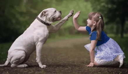 2023年生兔宝宝好不好1