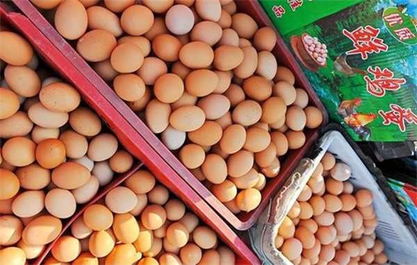 肉价降回“解放前” 蛋价滑坡下跌 养殖业咋了 详情分析