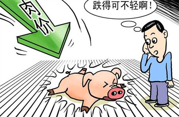 猪价报复性下跌2个坏消息对猪价有何影响 12月29日猪价