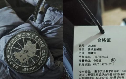 甘肃村民收到赈灾加拿大鹅称不会卖 加拿大鹅一般多少钱