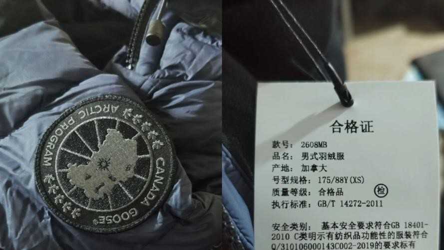 甘肃村民收到赈灾加拿大鹅称不会卖 加拿大鹅一般多少钱