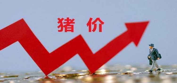 猪价岌岌可危产销错配不减警惕猪价节后破7入6 今日猪价