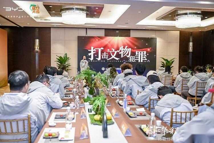 参加比亚迪国宝守护计划 一次全面认知国宝的旅程插图2 参加比亚迪国宝守护计划 一次全面认知国宝的旅程