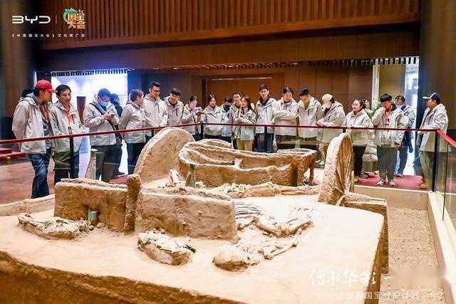 参加比亚迪国宝守护计划 一次全面认知国宝的旅程插图3 参加比亚迪国宝守护计划 一次全面认知国宝的旅程