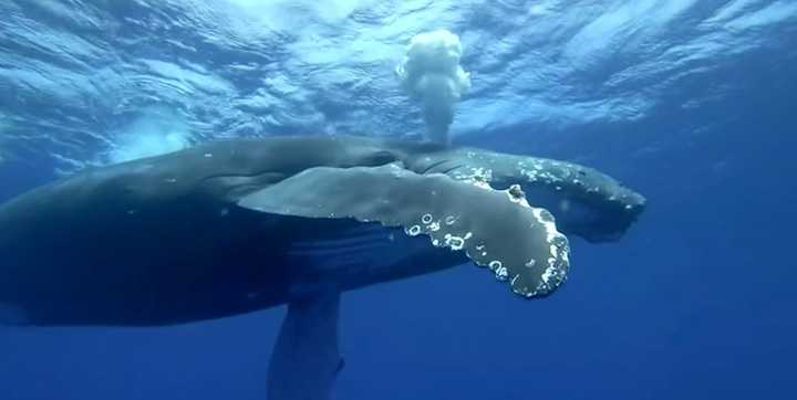 奥迪旅行车的真正奥义！