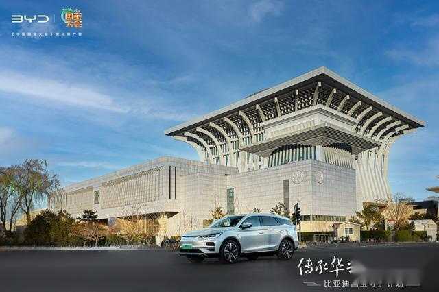 参加比亚迪国宝守护计划 一次全面认知国宝的旅程插图9 参加比亚迪国宝守护计划 一次全面认知国宝的旅程