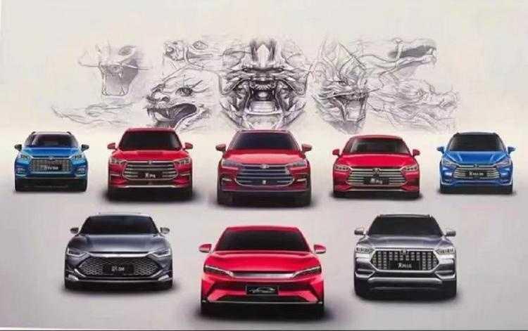 参加比亚迪国宝守护计划 一次全面认知国宝的旅程插图6 参加比亚迪国宝守护计划 一次全面认知国宝的旅程