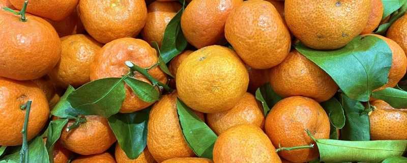 砂糖橘和酸奶不能同食吗 酸奶和橘子相克吗插图 砂糖橘和酸奶不能同食吗 酸奶和橘子相克吗