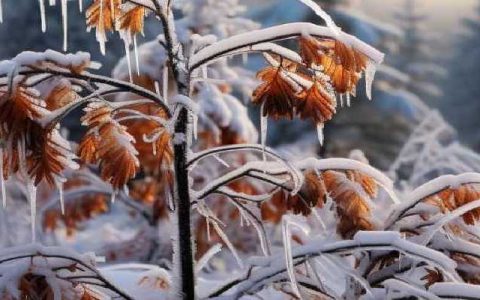 受冷空气影响黑龙江气温持续偏低 哈尔滨今天最低气温低至零下29.4℃