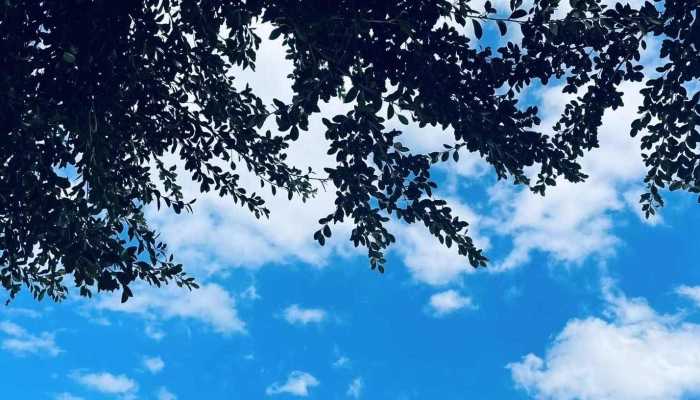 江苏未来三天以晴到多云天气为主 明天南京最高气温升至12℃插图 江苏未来三天以晴到多云天气为主 明天南京最高气温升至12℃